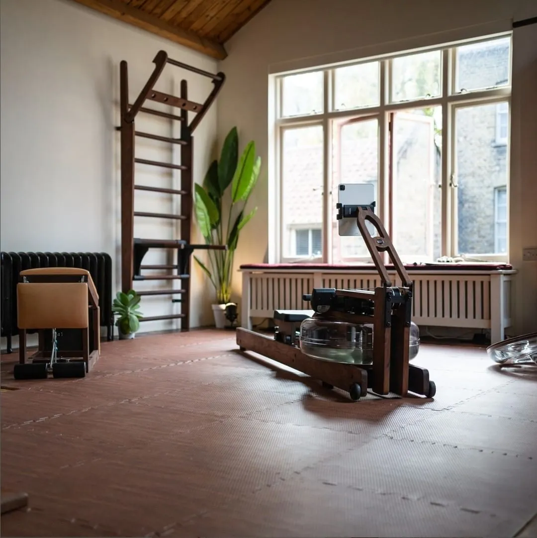 WaterRower Performance Ergonometer